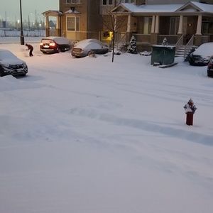 Meet your Posher, Cyntra